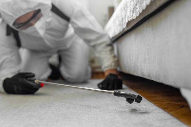 Professional Termite Control technician working in Tainter Lake, WI