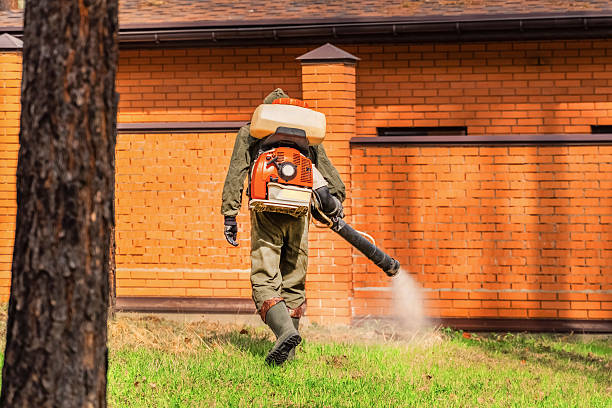 Trusted Cockroach Control service in Tainter Lake, WI - Nex Pest Control